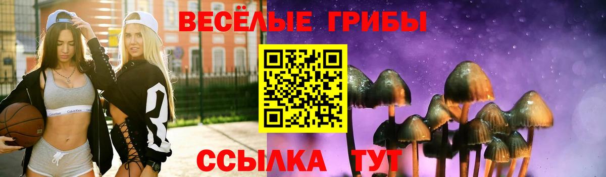 Псилоцибиновые грибы Psilocybe Сатка